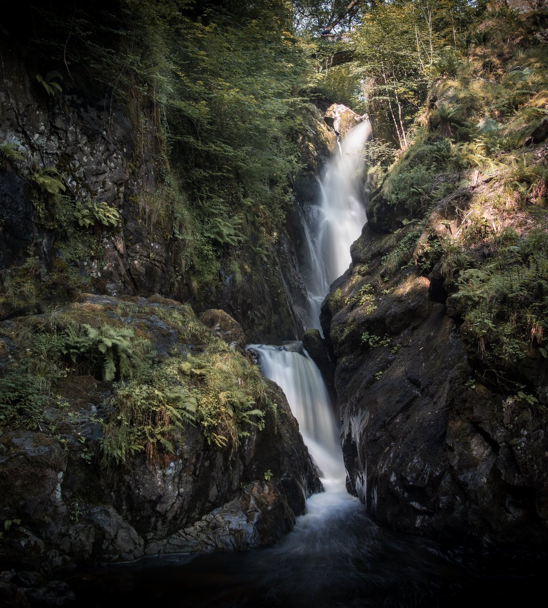 Stuart Tilbury tweet media