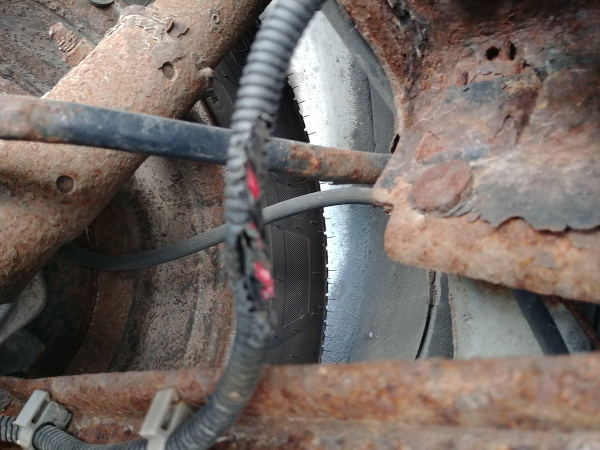 SethMang's tweet photo. An open letter to the rabbits residing on my property: It didn't have to be like this. when you chewed through my speed sensor wiring I showed you mercy. Now you have developed a taste for evap system and ABS wires. We could have coexisted before this https://t.co/u7i9VXynat