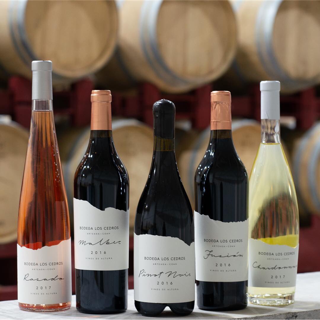 bodegaloscedros's tweet photo. Reserva tu visita y ven a degustar nuestros vinos en Bodega los Cedros!                                        reservas@bodegaloscedros.com #vinosdearteagacoahuila #viñedosmexicanos #vinosdealtura #bodegaloscedros https://t.co/YVQSJLqsSl