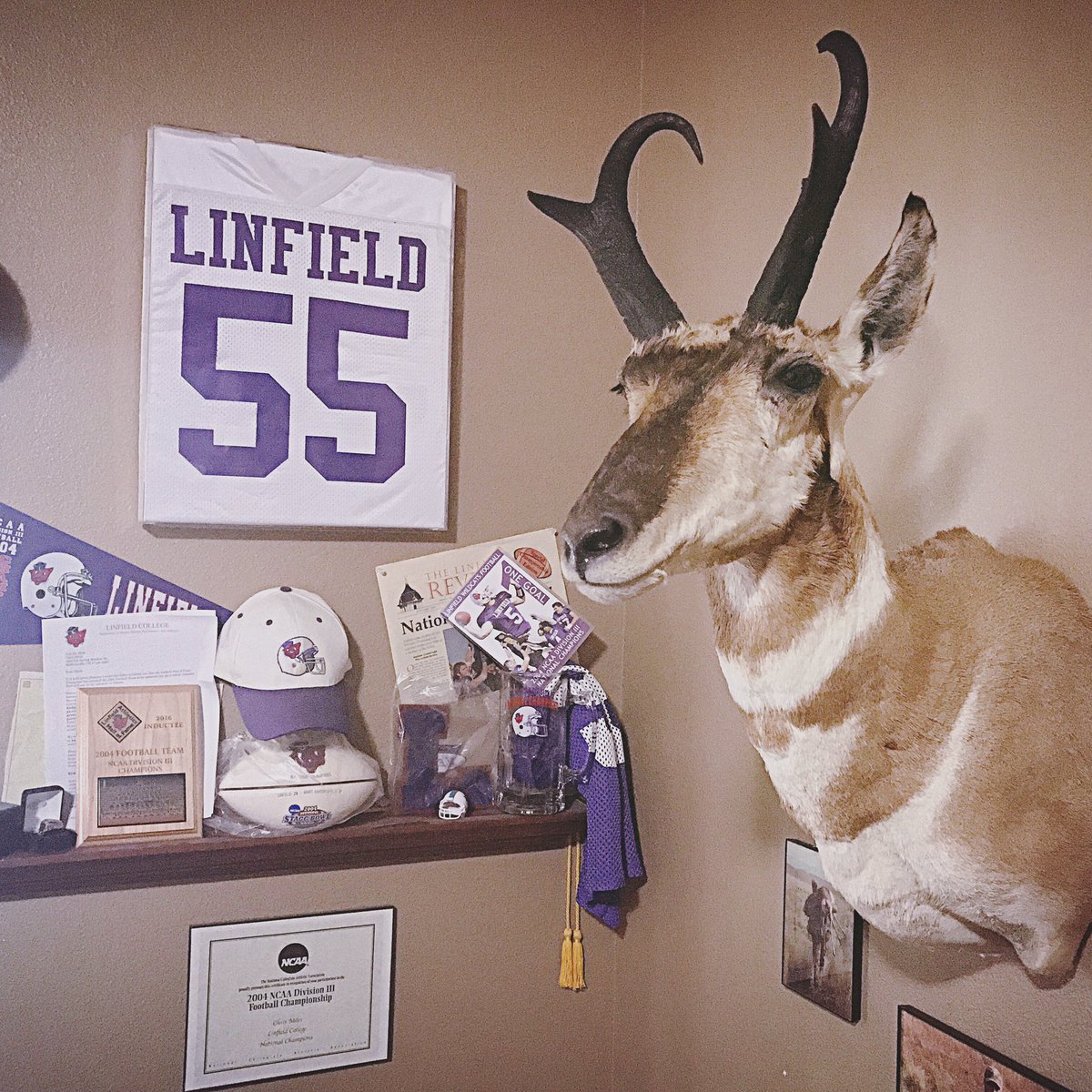 CMDesign2's tweet image. My favorite corner of our house!
#linfield #wildcats #nationalchamp #football #halloffame #meateater #GoLinfieldWildcats #doublenickel