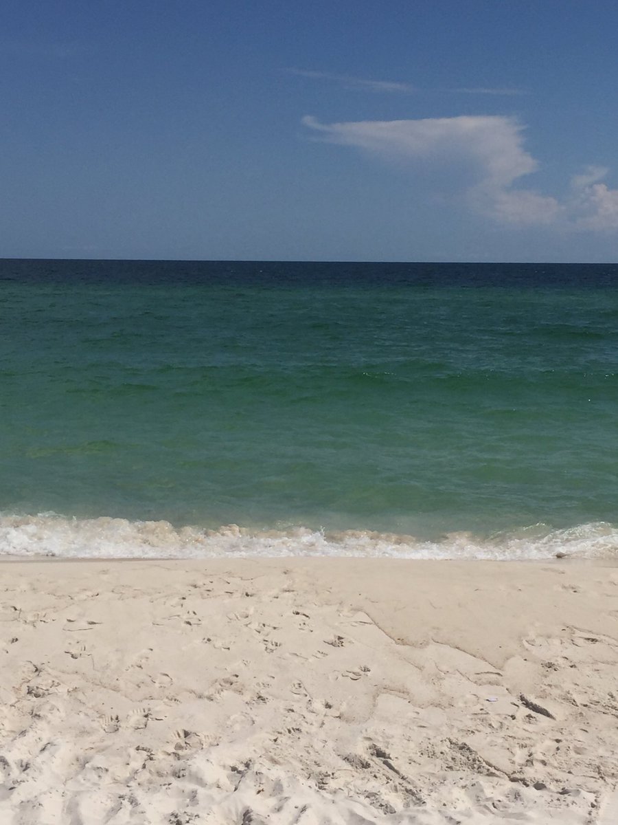 JKelly_USA's tweet photo. Soaking up these last couple of weeks before the fall semester kicks off. Pretty good Saturday! One of the many reasons I love living in @VisitMobileAL and working at @WeAreSouth_JAGS. #JagNation #45MinuteDrive #Turquoise https://t.co/glCl5Tlm3T