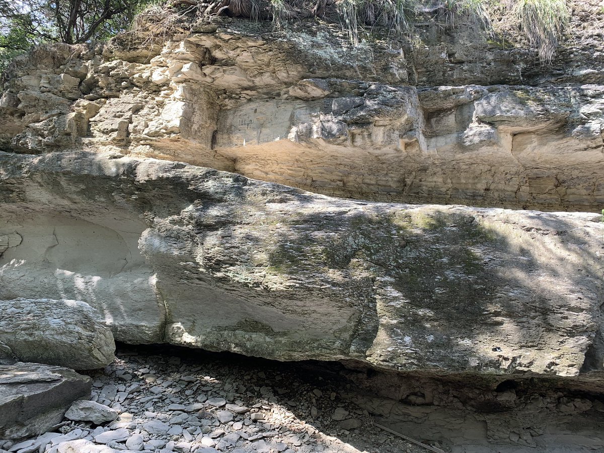 Got to check out some Austin Chalk outcrops in Walnut Creek with Bruce Hart.  The prospective is a little weird, but it looks like there is a channelform within the carbonates.