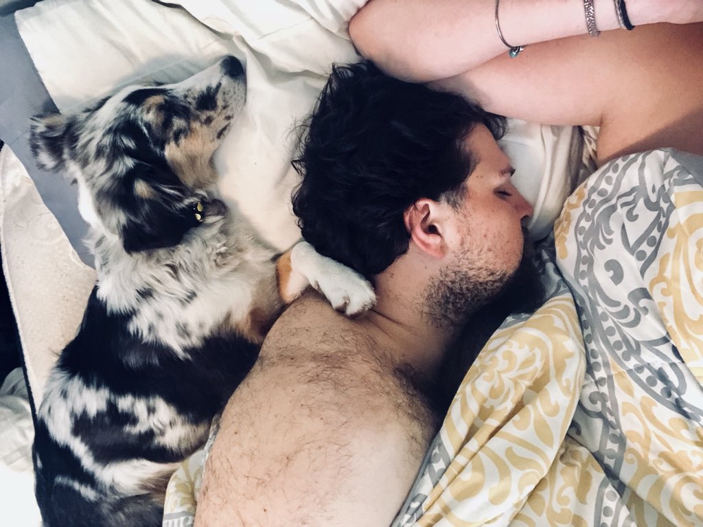 kaitlynskurls's tweet photo. Gypsy girl knew daddy was sick so she climbs up and snuggles onto his pillow π©π©π»π» #myheart #heartoverload https://t.co/Z8cQtqCI5Y