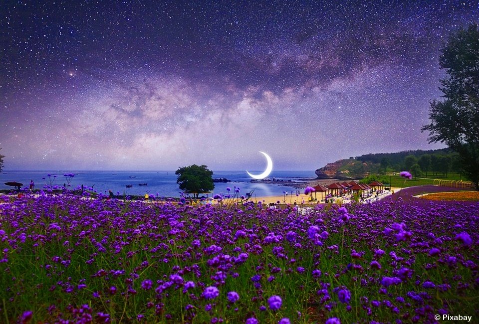 ✦｡Boa noite🌛🌌💤
