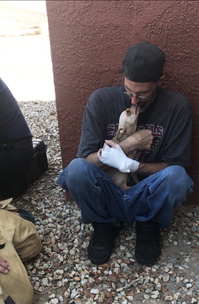 @PHXFire rescued 2 dogs and a cat from an apartment fire in North Phx ...