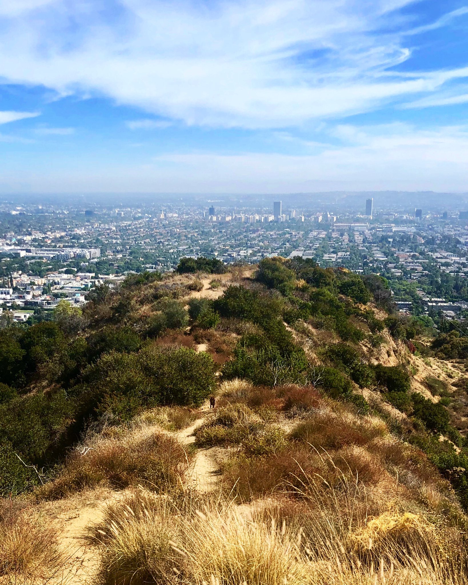 Curt Smith on Twitter: &ldquo;Home ️…