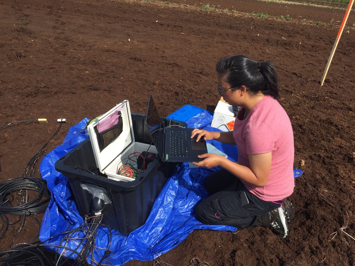 meteomac's tweet photo. Don’t you hate logger NAN’s? MSc student OiYin Lai trouble shooting a soil moisture probe at our peat production site. ⁦@NRoulet⁩ ⁦@wetland_GHG⁩ ⁦@DavidOlefeldt⁩ https://t.co/Qcywa3MqIl