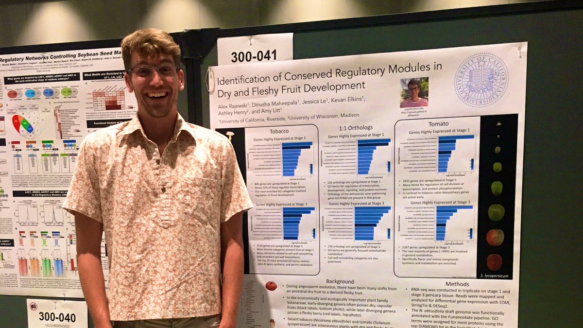 Rajewski's tweet photo. Got a burning desire to talk about fruit development and genomics? Come see my poster (300-041) at #PlantBio19 #LittLab #UCR https://t.co/CI9fgLUkXX