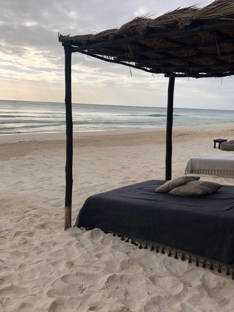 NestTulum's tweet photo. There is something about waking up early and watching the sunrise on the beach.
#nesttulum #tulumsunrise #breathtulum #nestbeach #coffeetulum https://t.co/WNIXzkfyLk