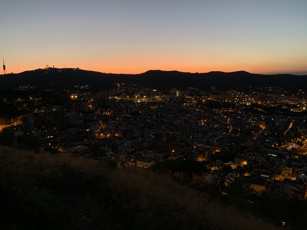 Aimee Wood tweet media