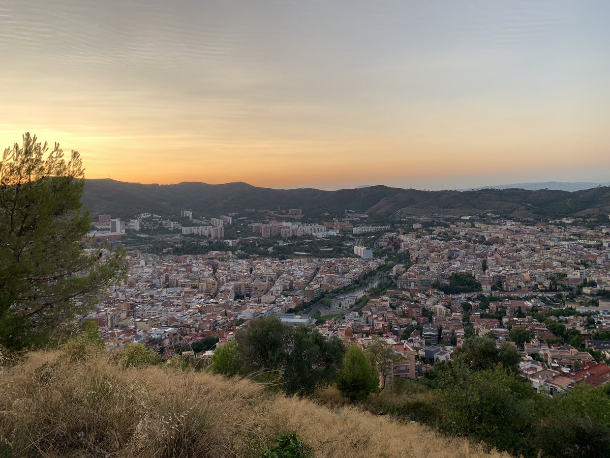 Aimee Wood tweet media