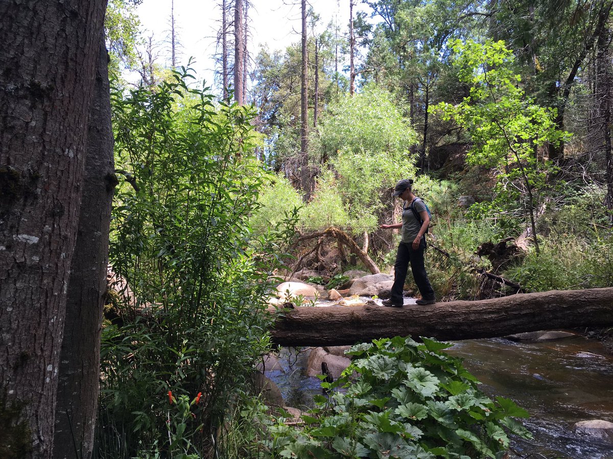 CHSLibrary6's tweet image. Your @SRVUSD1 librarians are hardcore about their training at #librarycamp: you always got to keep up your balancing act! #SRVLibraryLove