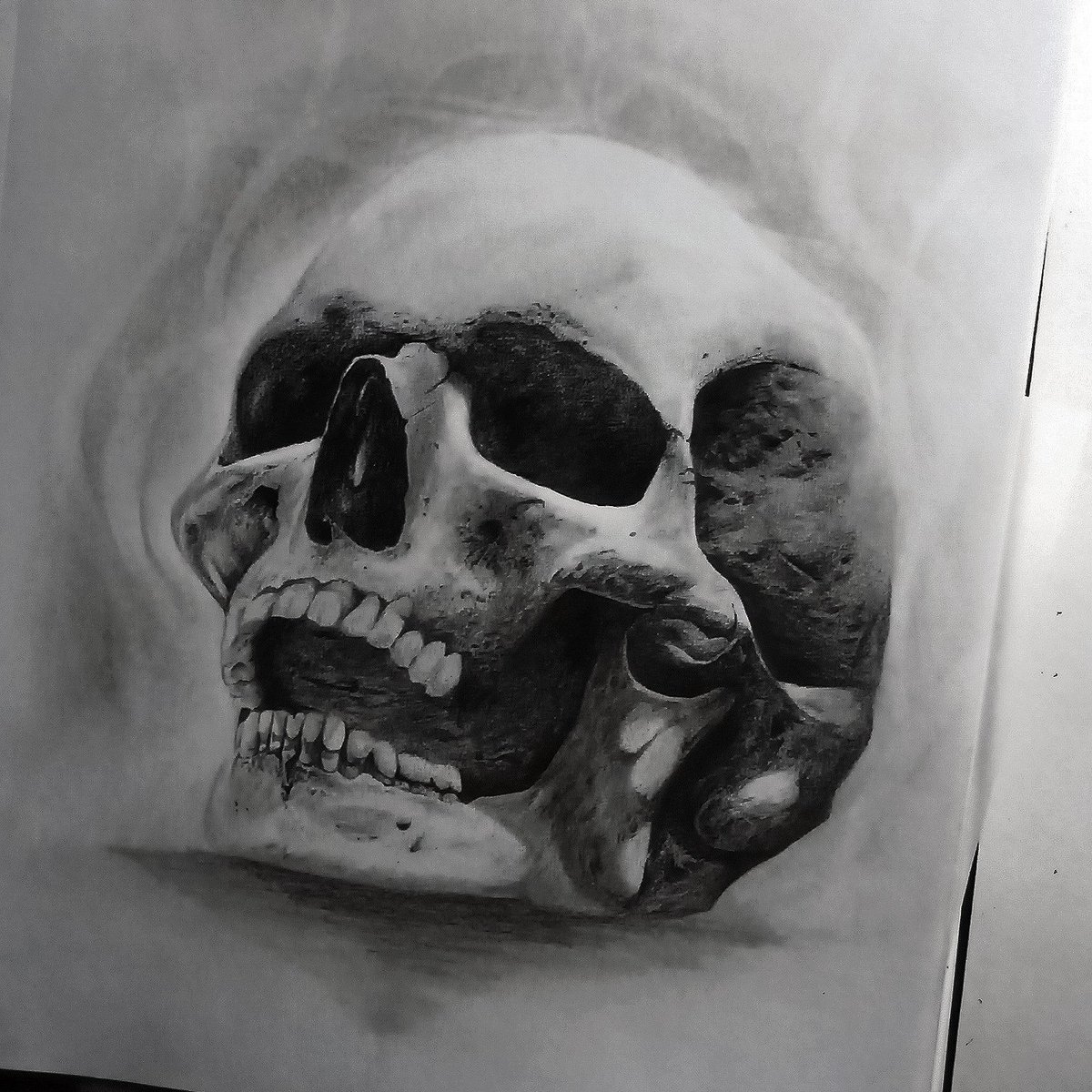 Conchitattoo's tweet photo. Ilustración a lápiz carboncillo

#arte #Diseño #art #ilustración #dibujo #draw #drawing #skull https://t.co/0I11I1yOf3
