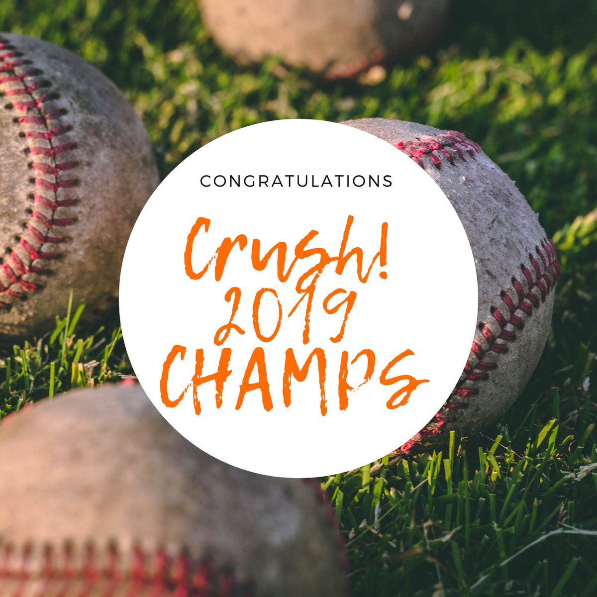 ShowMeLeague's tweet photo. Congrats to the 2019 Show Me Collegiate League Champions, @QCCrushBaseball https://t.co/Yjt4OzCZAH