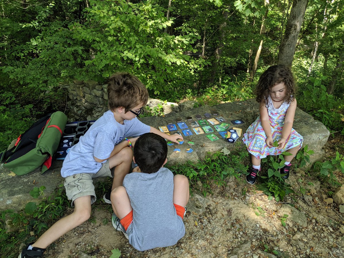 LBiggames's tweet photo. On our way home from #gencon19. Stopped to play @BlueOrangeGames' Planet at @MammothCaveNP. 

We didn't finish, due to a sudden gust blowing the cards into a ravine. The elephant card was permanently damaged, but it was worth it. https://t.co/8kJNHRQYiZ