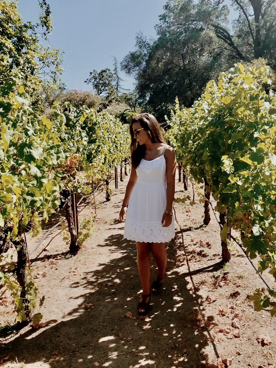 anslie_03's tweet photo. Beringer Vineyard 🍇🍷 https://t.co/1VfDqZMhLP