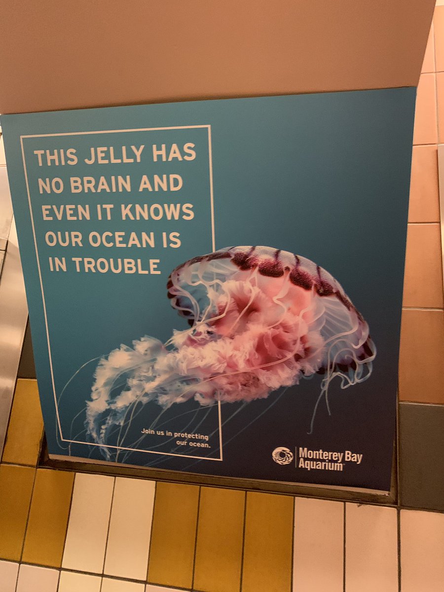 This jelly has no brain and even it knows our ocean is in trouble.”