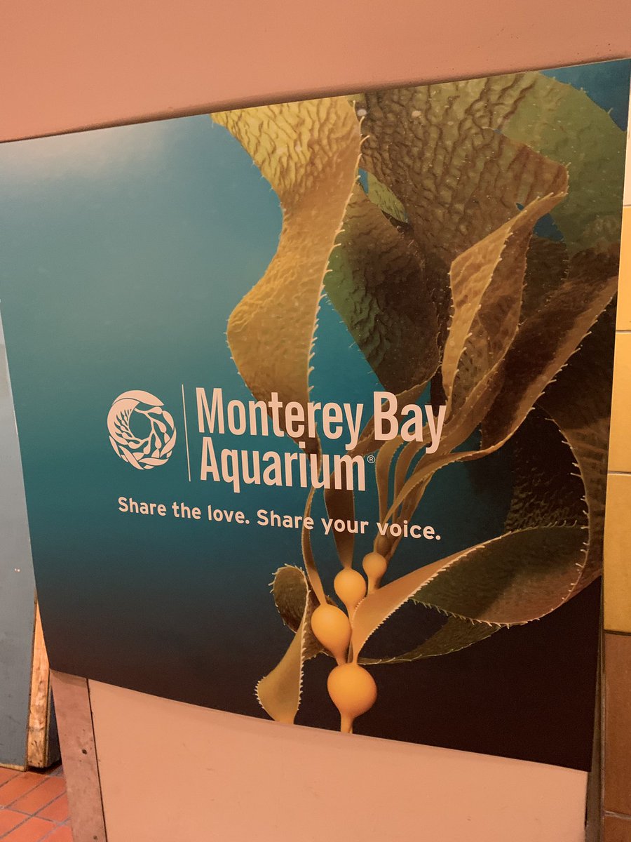 “Share the love. Share your voice.”