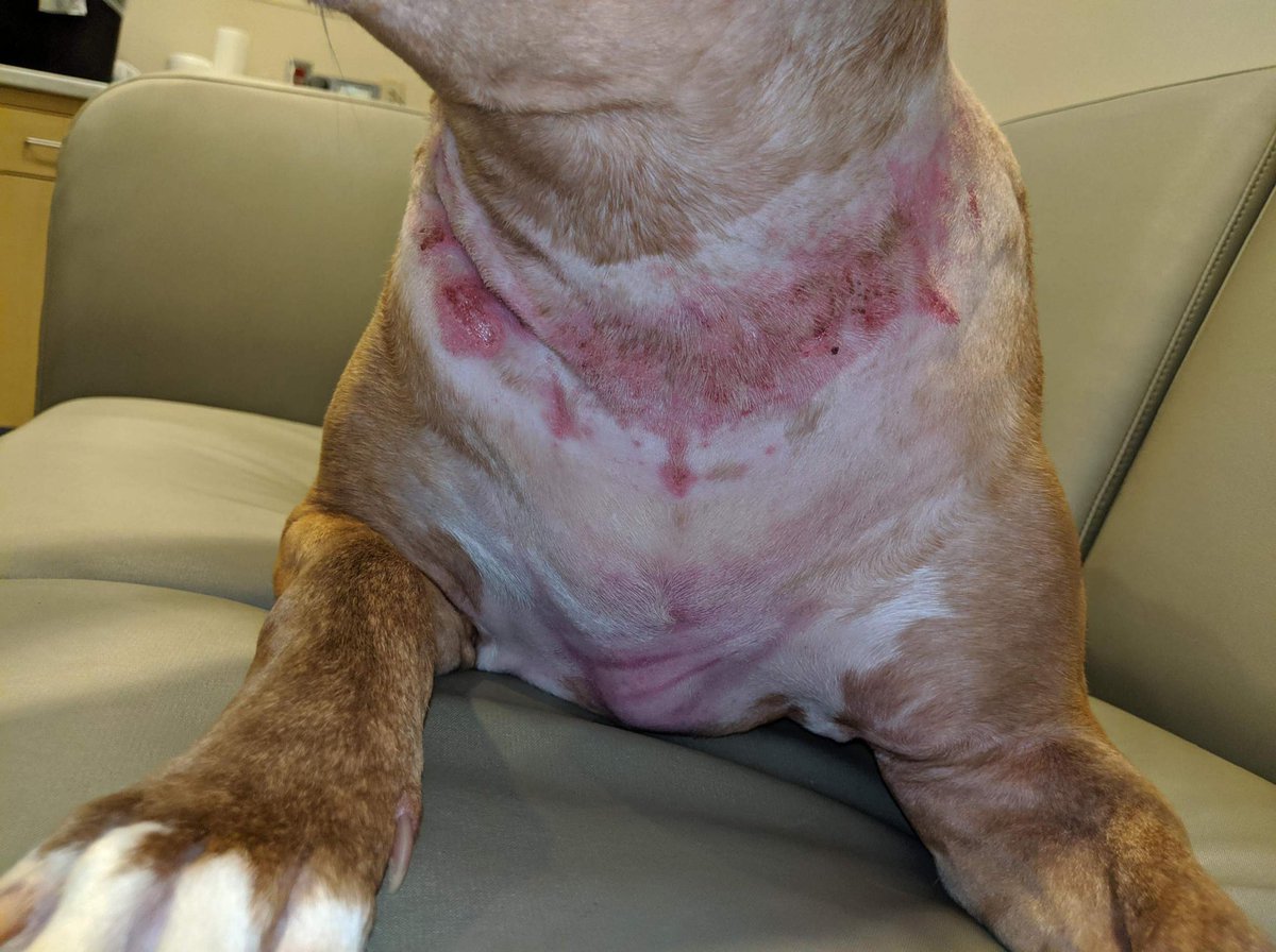 JoeBasile37's tweet photo. https://t.co/CAtfj77afz