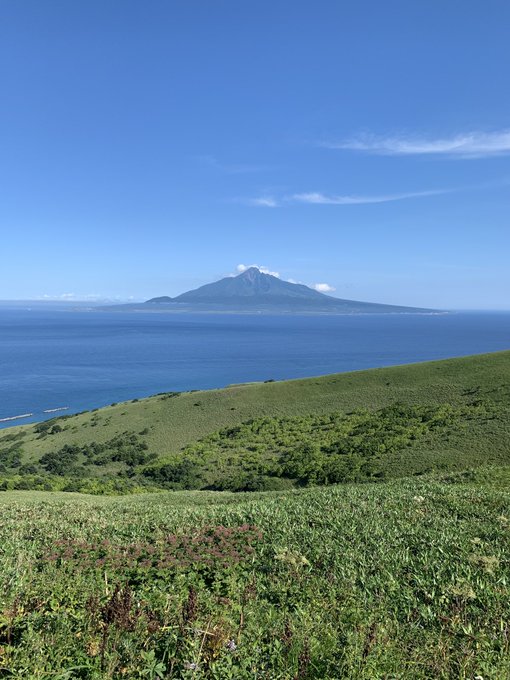 島津有理子の医学部はどこ 東海大学 退局理由と現在について アスネタ 芸能ニュースメディア