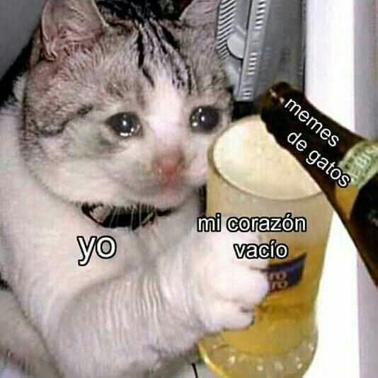 Pilgrimsito's tweet photo. @SoyShepard_ https://t.co/CPyLwpXliY