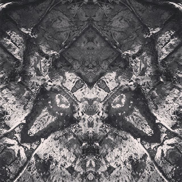 Moth and snake 
#snake #darkart #kaleidoscope #moth ift.tt/31jyhyy