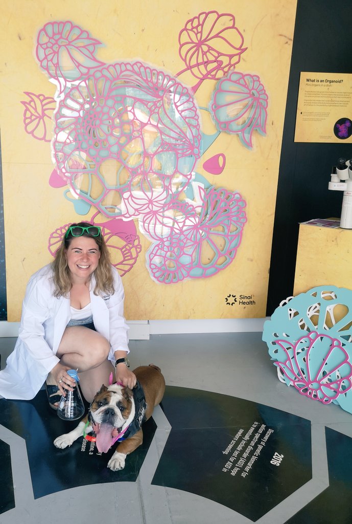 SonjaMissio's tweet photo. Starting our long weekend off by visiting @SinaiHealth at @stacktmarket! 

#scienceofsinai #sinaiatstackt #sinairesearch https://t.co/JJ5kz3ft25
