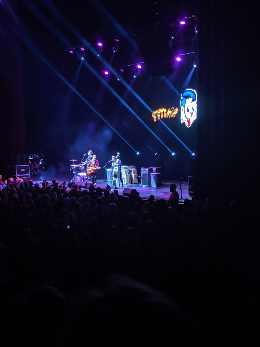 dmb_fanz's tweet image. "We're the Stray Cats, we're from Massapequa, Long Island, and this is a song I wrote in my garage." #StrayCatStrut