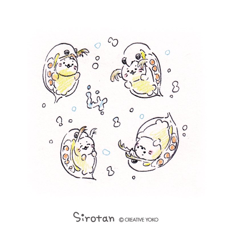 ワドルディが好き Sirotan Fun ミジンコ 随分可愛いミジンコ Twitter