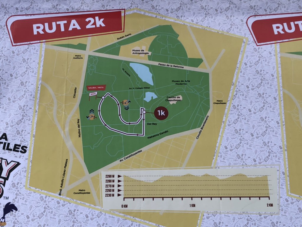 lldelrio's tweet photo. #2km #Max #runner #21km #domingo #looneytunes #enparejas https://t.co/UX8ph1h4eP