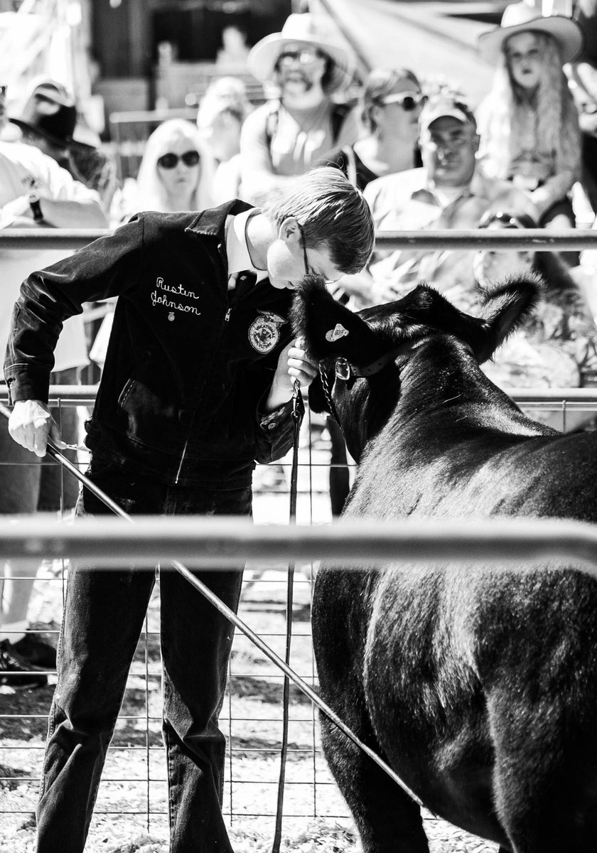 hallieutter's tweet photo. Felt so good to be home for fair and surrounded by animals for the weekend, Iโve missed this ag stuff more than I realized. So proud of all of these kids and more for working so hard this year. ๐ธ๐ฎโค๏ธ #BendFFA #FFAForever https://t.co/U0gLFTZQNM