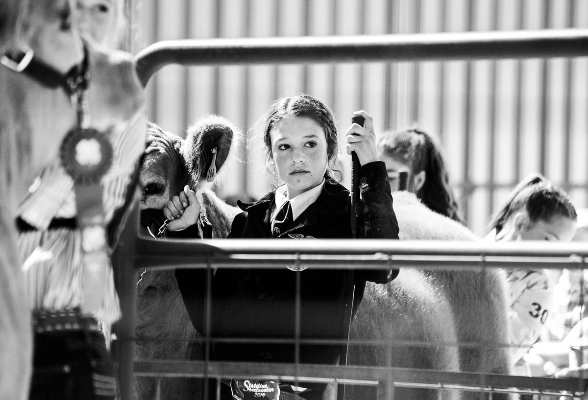 hallieutter's tweet photo. Felt so good to be home for fair and surrounded by animals for the weekend, Iโve missed this ag stuff more than I realized. So proud of all of these kids and more for working so hard this year. ๐ธ๐ฎโค๏ธ #BendFFA #FFAForever https://t.co/U0gLFTZQNM