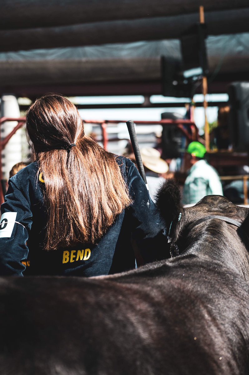 hallieutter's tweet photo. Felt so good to be home for fair and surrounded by animals for the weekend, Iโve missed this ag stuff more than I realized. So proud of all of these kids and more for working so hard this year. ๐ธ๐ฎโค๏ธ #BendFFA #FFAForever https://t.co/U0gLFTZQNM