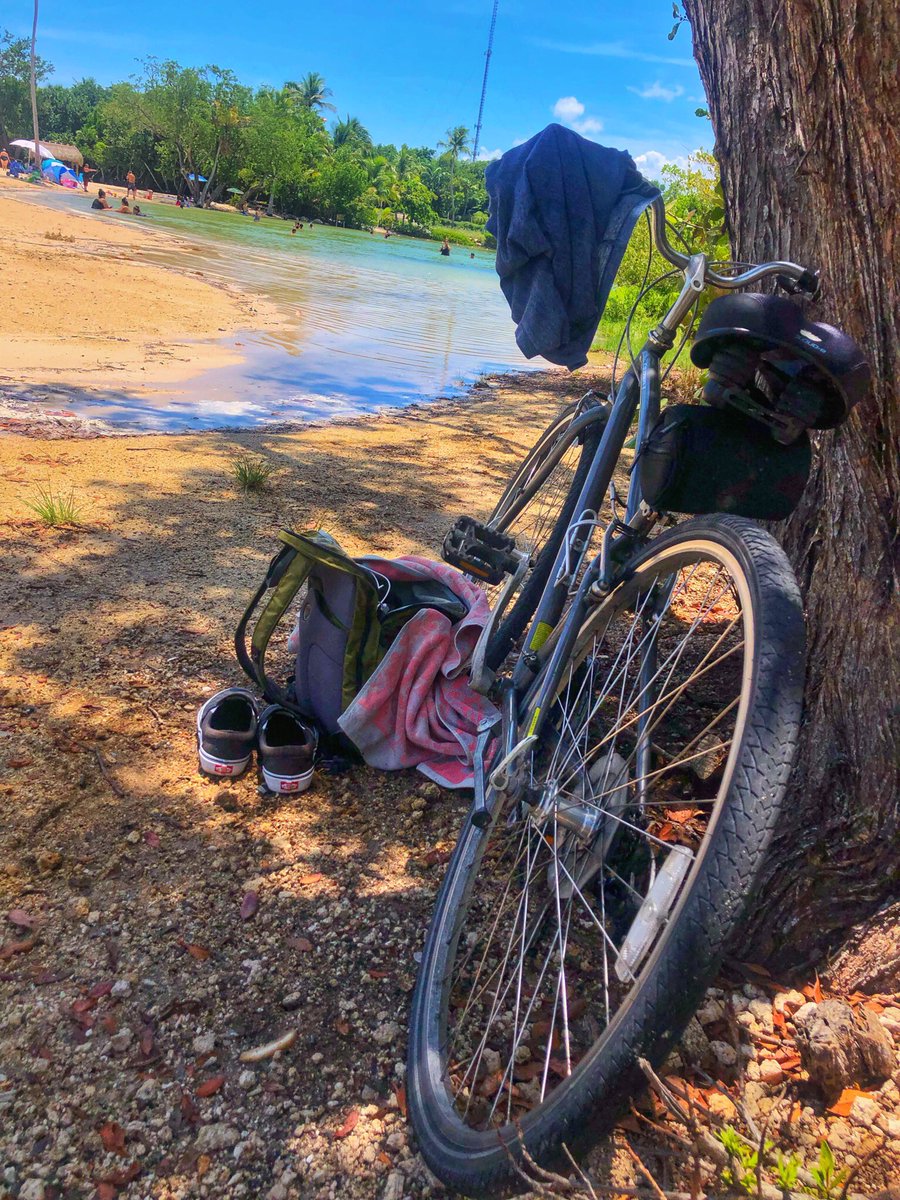 PJMastracchio's tweet photo. Bike ride vibes #Florida #FloridaKeys #KeyRat #Cycling https://t.co/DG8YLnDJpt