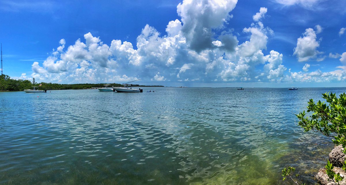 PJMastracchio's tweet photo. Bike ride vibes #Florida #FloridaKeys #KeyRat #Cycling https://t.co/DG8YLnDJpt