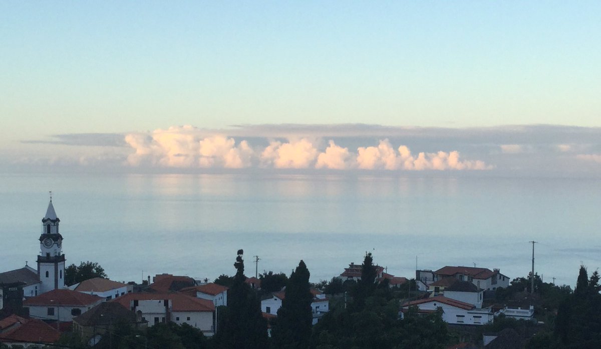 knit1slip1psso's tweet photo. Early morning Arco da Calheta... South over the ocean and West over the ‘top’ garden #sharingmadeira #atlanticviews #garden https://t.co/y05BB4AhIa