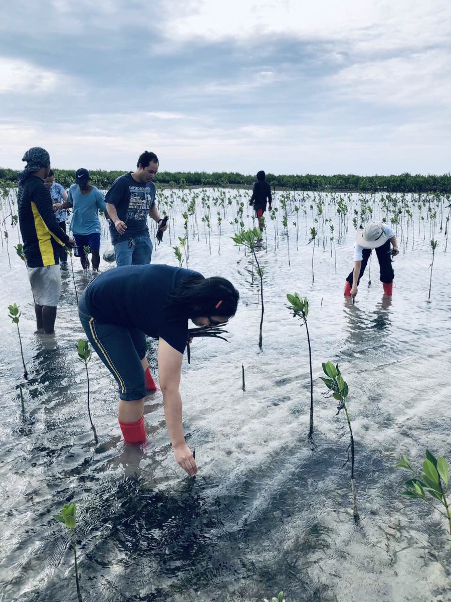 philchestorg's tweet photo. @mklatpccp Great job and thanks Central Visayas Chapter for doing your share in caring for our environment! #PUSHMoLungs
#HealthyAirNow #CommitToCleanAir #PCCP2019 https://t.co/g6wsskIyTo