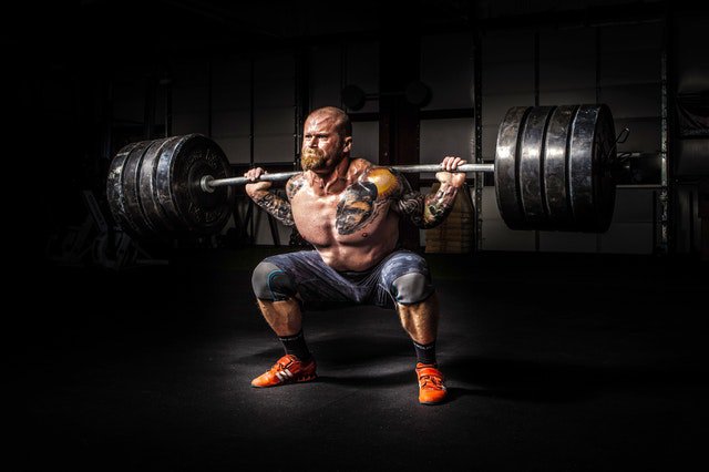 halloharlow's tweet photo. Hallo from Harlow Weekly: Squat II: Squat Movement - https://t.co/gO7mB1z7GO

#squat #gym #fitfam #motivation #gymlife #squatgoals #veganswholift #vegangains #vegains #workout #veganbodybuilding #melbournept #vegansofmelbourne #vegansofaustralia #fitnessgoals #fitnessfirst https://t.co/x4YkwUlLQB