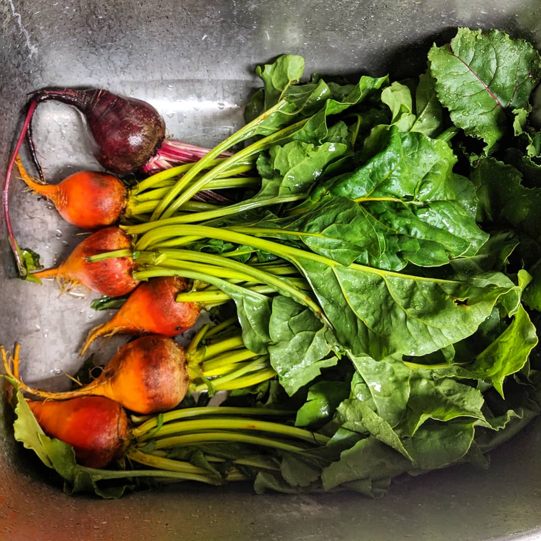 Beets are amazing. They're great roasted in the oven with garlic, potatoes & carrots, the leaves can be used for beetniks. But I was today years old when I learned that I could saute the steams (and leaves) for a tasty side dish! #zerowaste #wastenotyxe  #zerowastecooking #garden