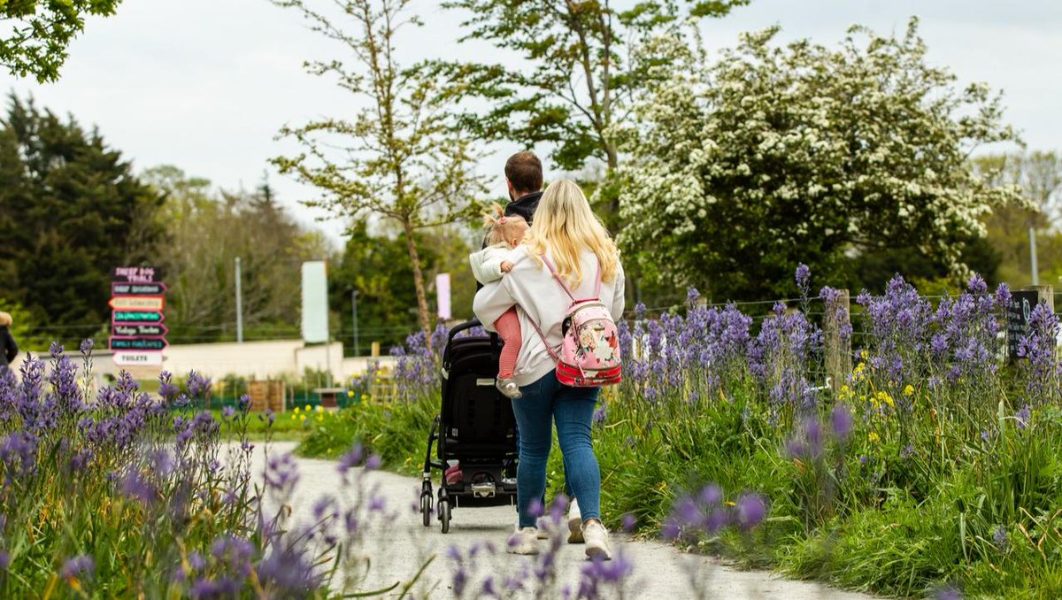 AirfieldEstate's tweet photo. πBank holiday Sundays are for exploring with loved ones!
#familyadventure #airfieldestate #funtimes #getoutsidetoday
https://t.co/tYiBXElOoC https://t.co/h506tBIOpO