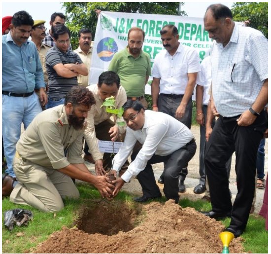 Comm Secy Forest plants sapling under plantation drive at IMPA&amp;RD jkinfonews.com/newsdet.aspx?q…