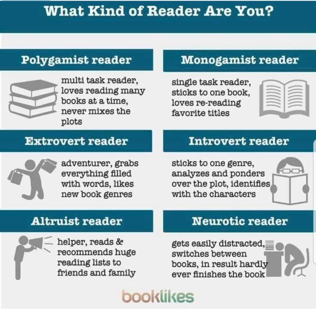 Knight Reader tweet media