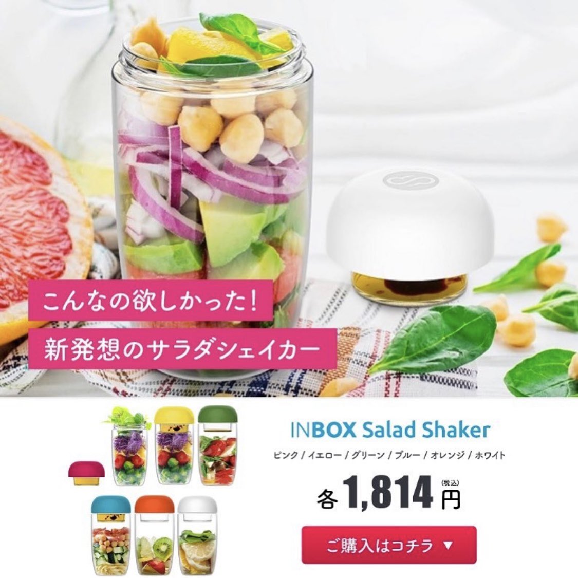 Mog Mog Saladshaker Twitter