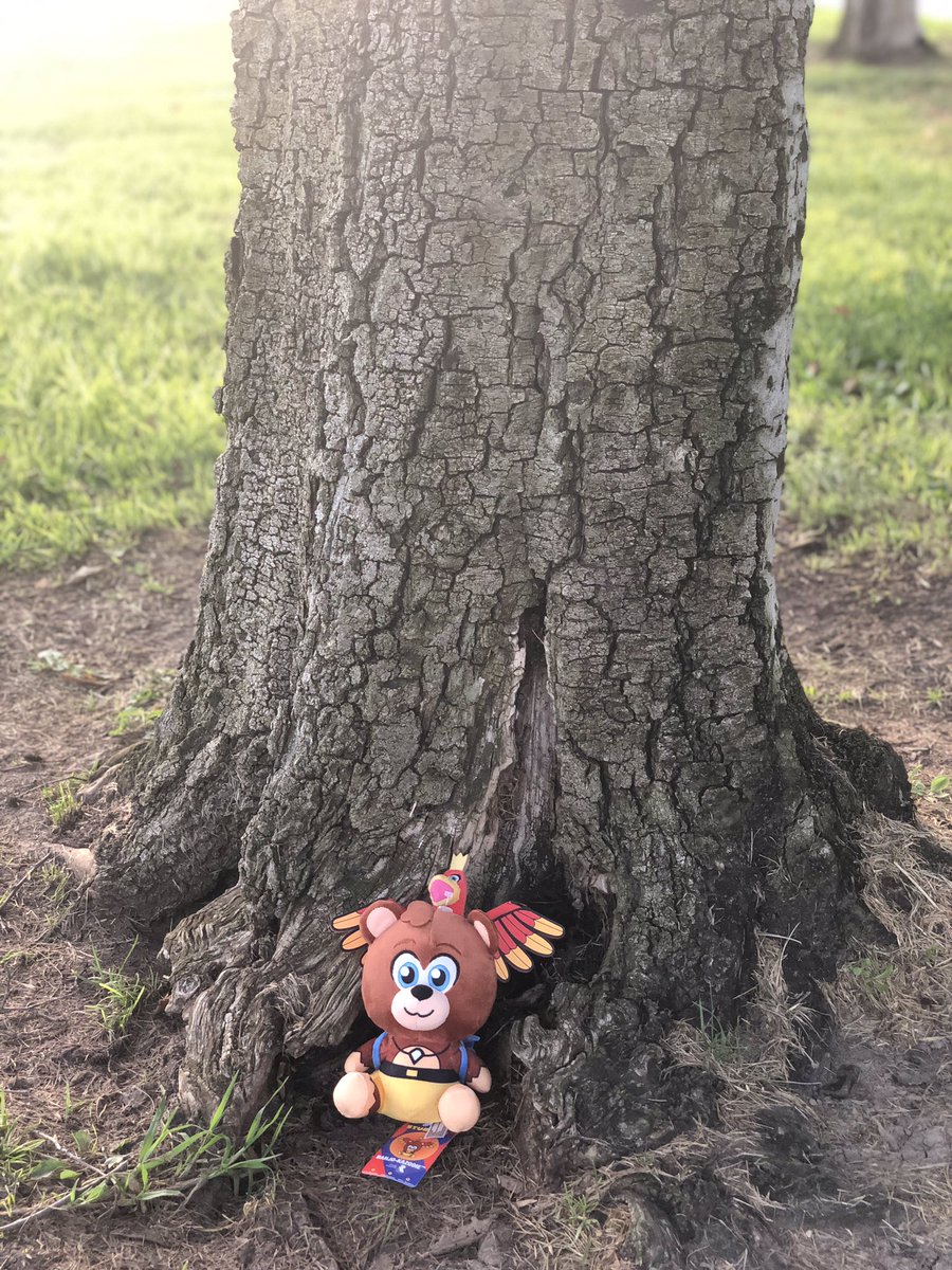 itybittybritty's tweet photo. Finally found Banjo-Kazooie & took pictures of them next to my cosplay backpack I used for Tooty #Nintendo #Nintendo64 #Tooty #BanjoKazooie #BanjoKazooieCosplay #BanjoAndKazooie #Rare #RareWare #Innex #LaComicCon2018 #LACC #Cosplay @GameStop @The_Stubbins https://t.co/Ii6g8plKVV