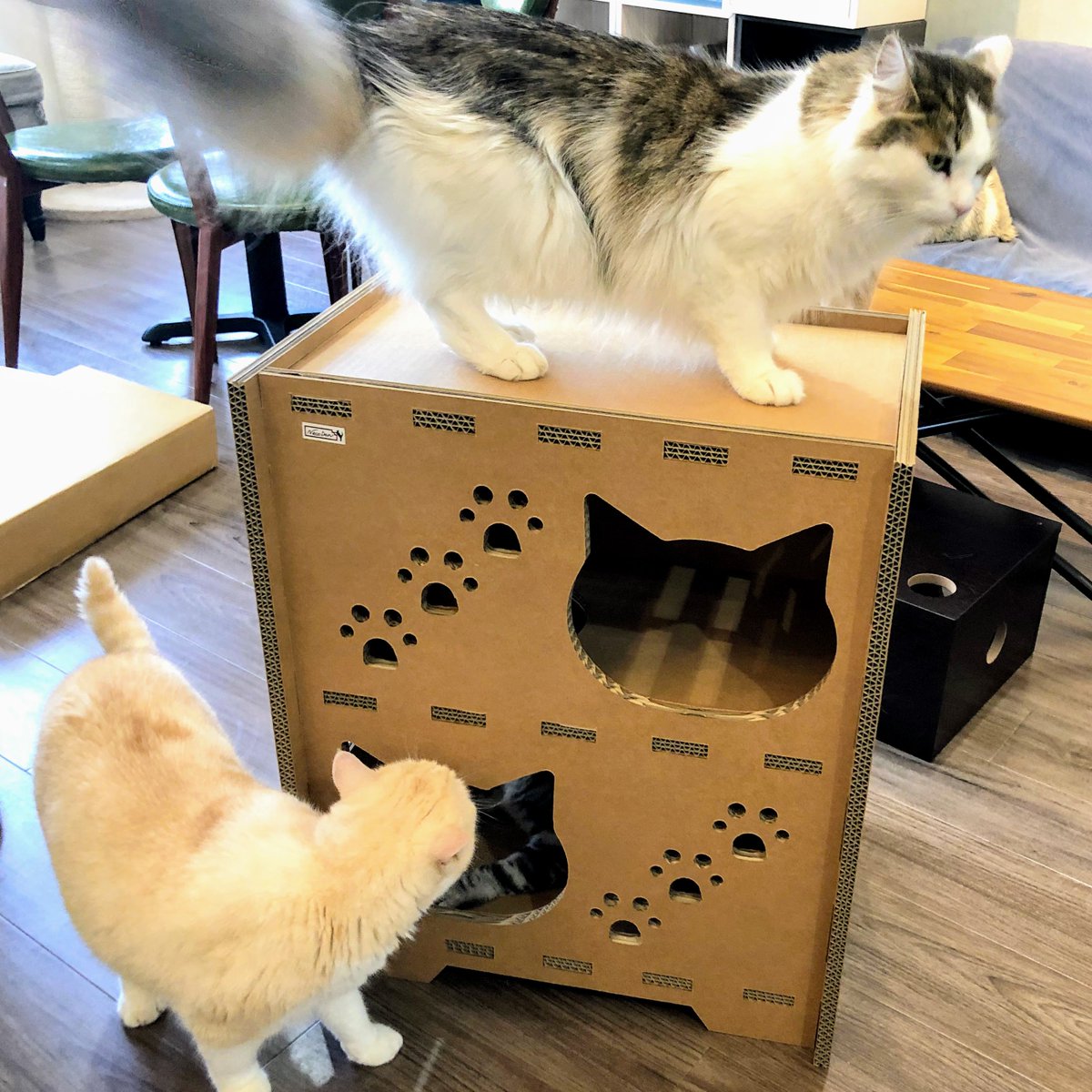 ট ইট র 猫カフェ Nyantasista お客様に猫段タワーハウスを頂きました みんな我先にと大興奮 いつも本当にありがとうございます 大切に使わせていただきます 猫カフェ ニャンタジスタ 猫段タワーハウス プレゼント 隠れ家的