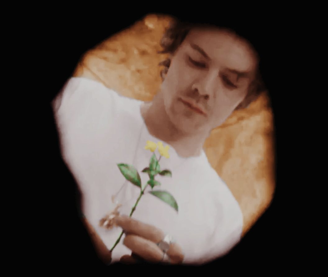 Cami🦋 tweet media