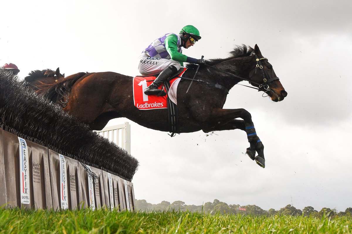 Wells ridden by Richard Cully jumps a steeple on the way to winning the Crisp Steeplechase
#races #horseracing #horsephotographer  #racingphotography #racingphotos #jumpsracing #howgoodisjumpsracing 
@RacingInsider   <a href="/racingdotcom/">Find us @Racing</a> <a href="/AusJumpsRacing/">Australian Jumps Racing Association</a> <a href="/MelbRacingClub/">Melbourne Racing Club</a>