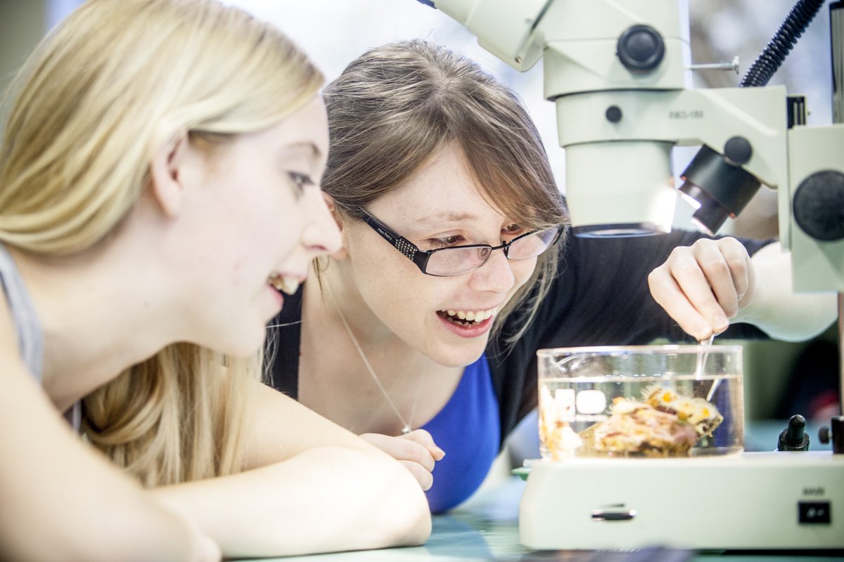 Monash_Science's tweet photo. Want to know more about #ATAR requirements & pathways into our science courses? Head to S4 lecture theatre at 2.30pm. #ChooseMonashScience #MonashOpenDay https://t.co/7CZYhDEAo4