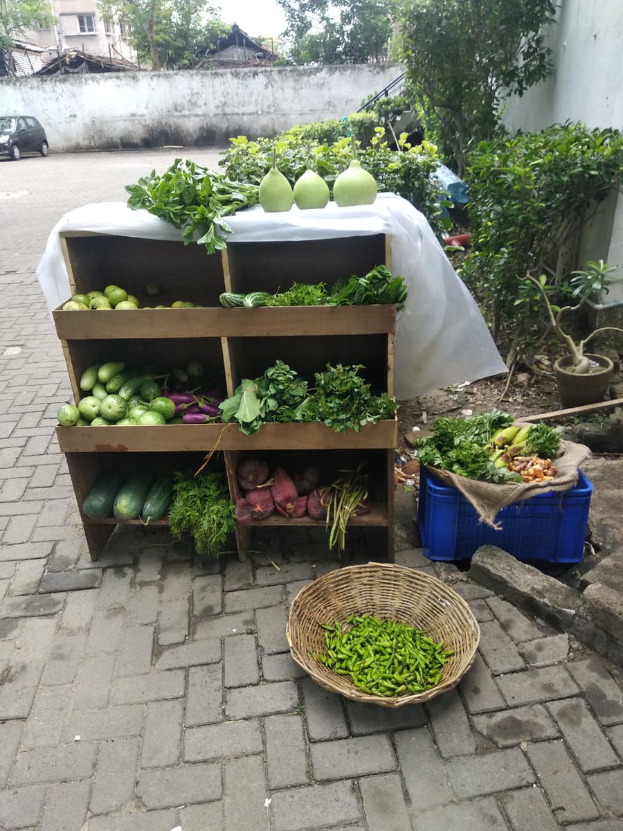 Badabon Harvest tweet media