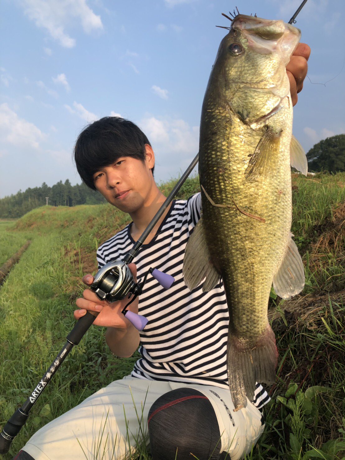 ryoga on Twitter: